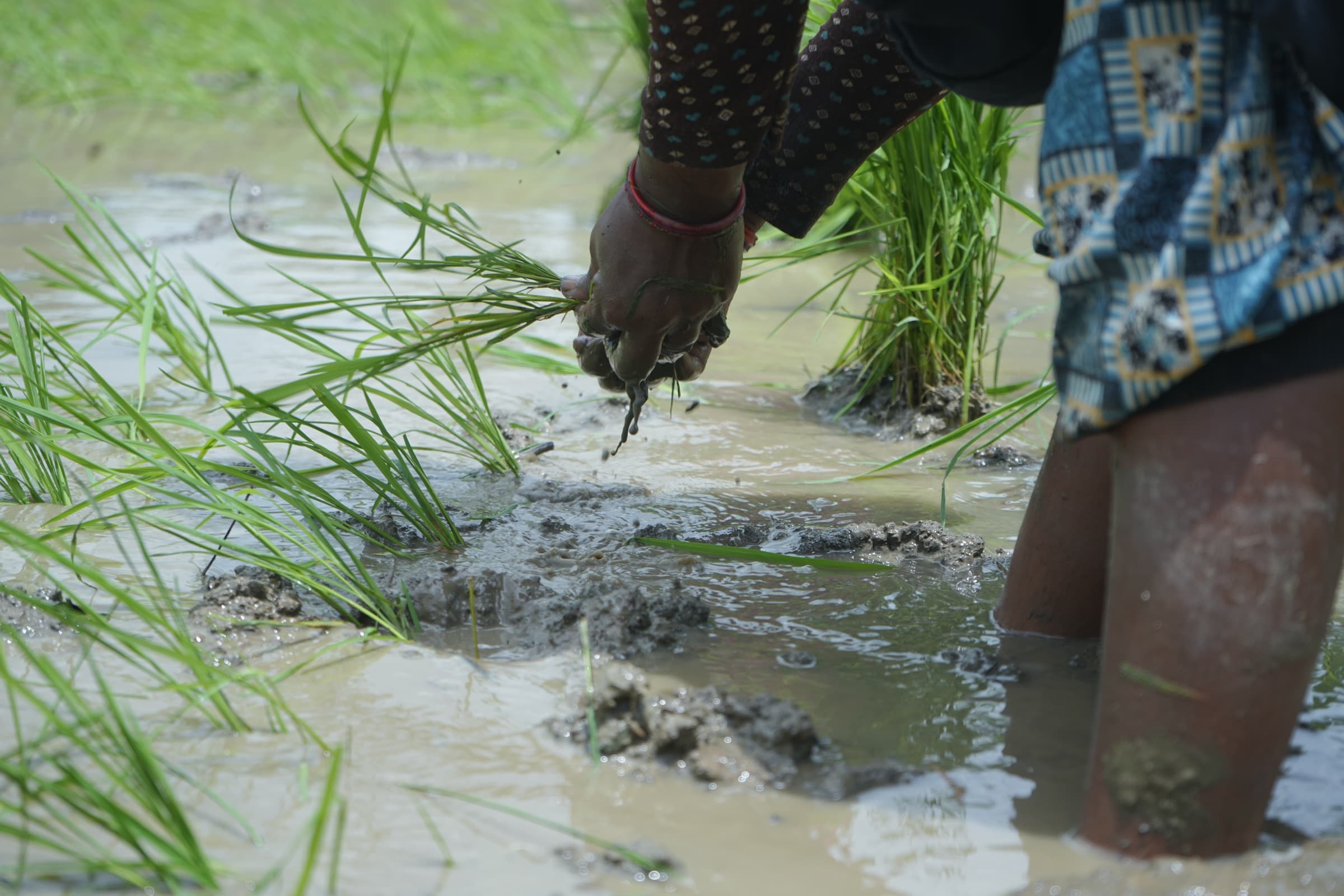 Grassroots documentary photography
