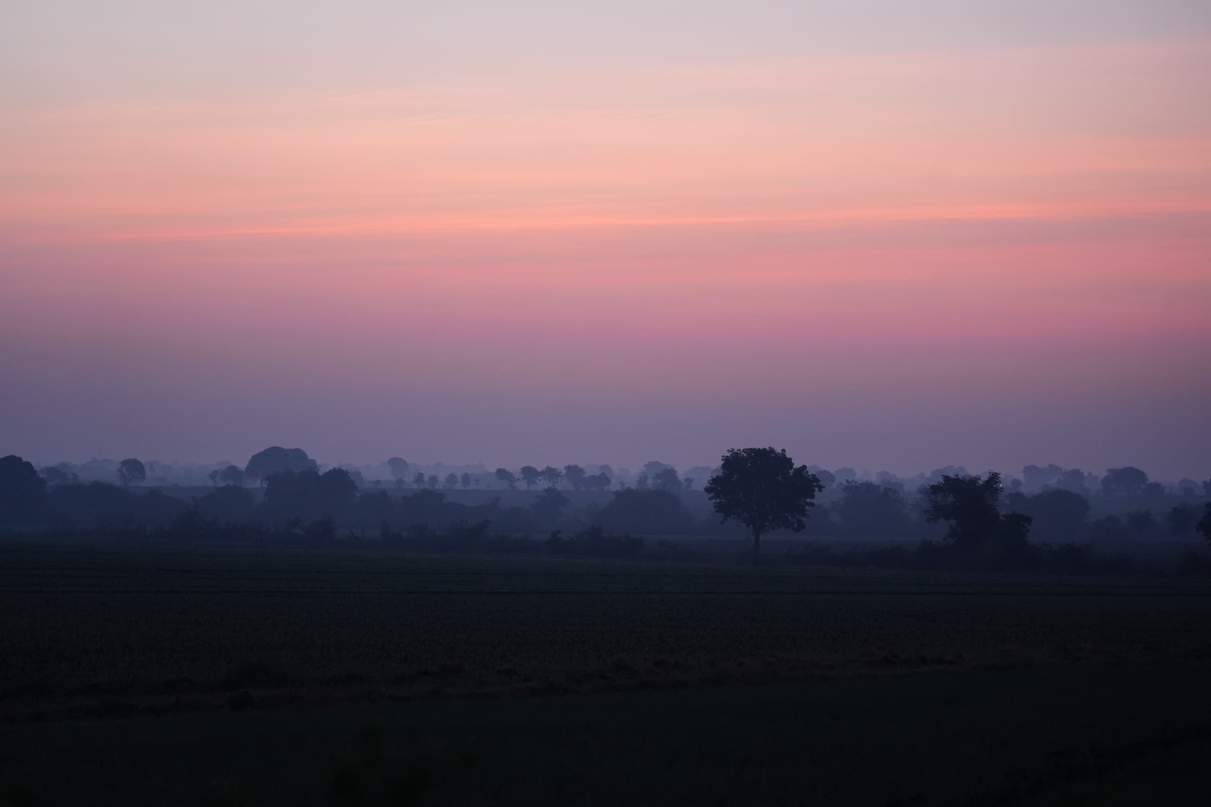Community fieldwork in rural Madhya Pradesh