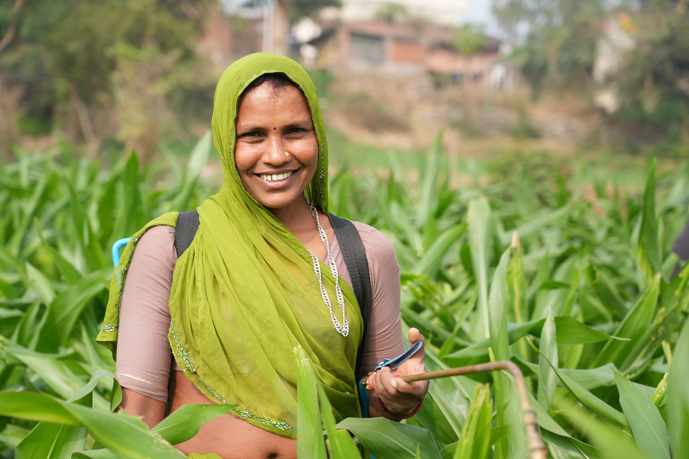 Field photograph from central India