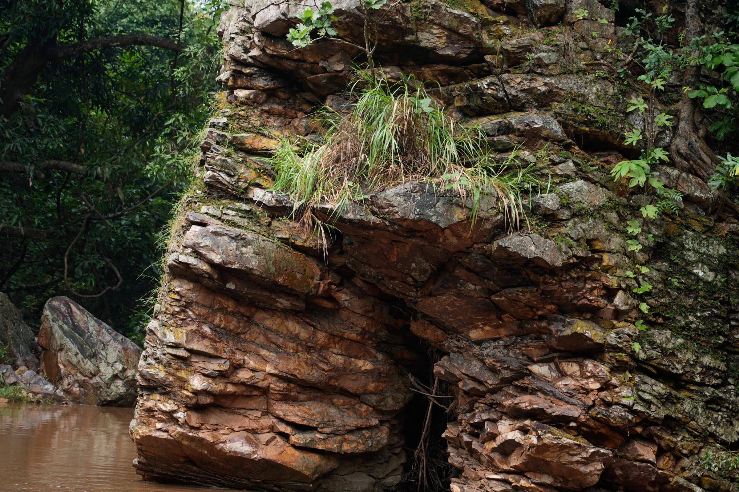 Field photograph from central India